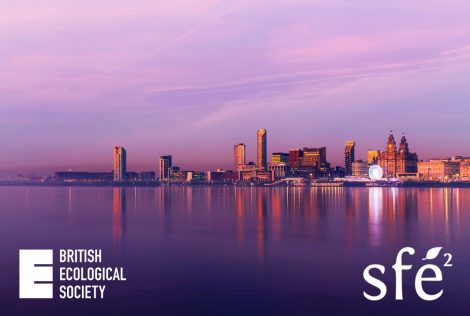 BES-SFE² Meeting, Dec. 2021 – Program now available