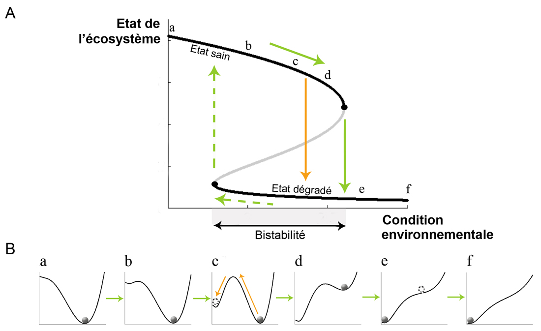 R37-Fig3